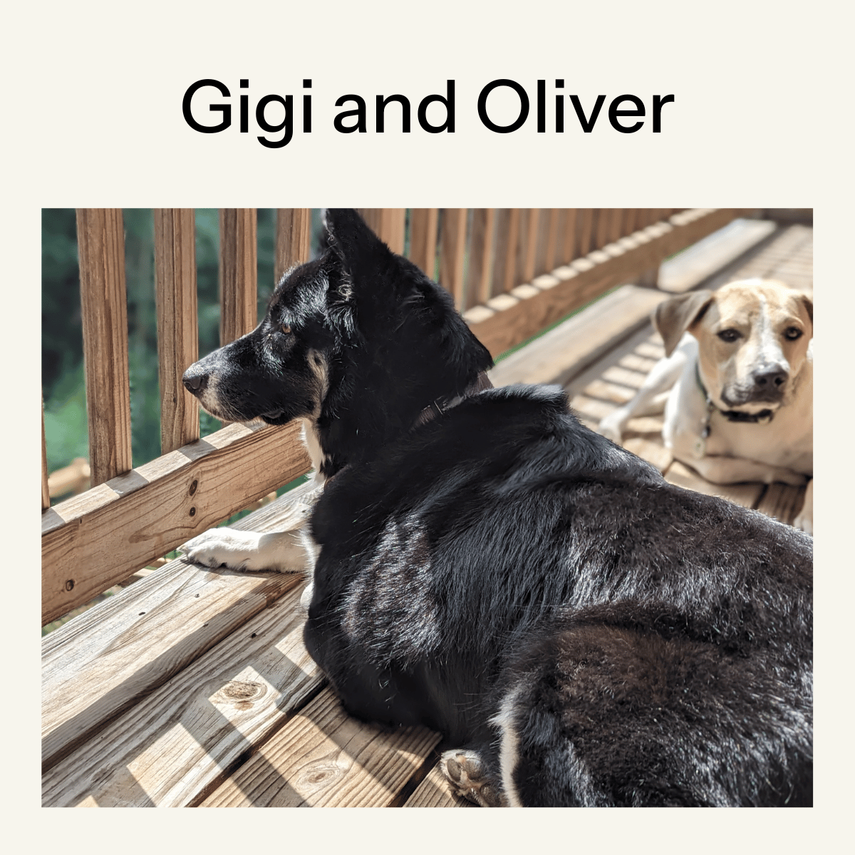 Gigi and Oliver