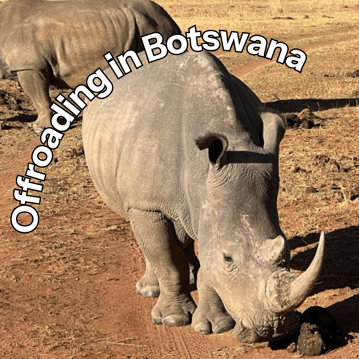 Offroading in Botswana