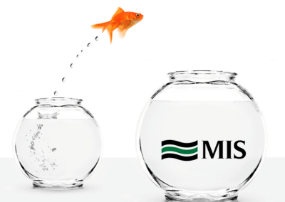 Switching IT companies guide